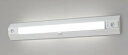 (手配品) 天井直付型・壁直付型 LED (昼白色) 非常用ベースライト 階段通路誘導灯・一体型階段灯40形低光束 30分型・ワイドタイプ NNCF43135LE9 パナソニック