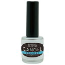 PRE GEL キャンジェル ノンヒート 8g