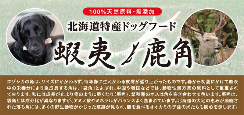 鹿角ドッグフード　ワンちゃんのおやつ　美味しい　レターパック配送可