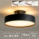 照明 おしゃれ シーリングライト 調光調色 リモコン 明るい 天井照明 LED 照明器具 ライト シンプル モダン リビング用 居間用 ダイニング用 食卓用 5000lm 12畳 昼白色 電球色 調光 調色 間接照明 ARTWORKSTUDIO GLOW（グロー）LED シーリングランプ 12畳タイプ