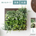 観葉植物 おしゃれ インテリア フェイクグリーン 壁掛け ウォールグリーン フェイク 消臭 抗菌 造花 CT触媒 癒し 華やか 植物 グリーン 消臭アーティフィシャルグリーン ウォールタイプ Lサイズ