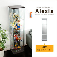 https://thumbnail.image.rakuten.co.jp/@0_mall/air-rhizome/cabinet/14/axskago1-4m.jpg