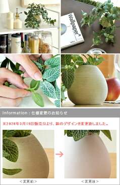 光触媒 観葉植物 フィットニア 網目草 人工観葉植物 造花 インテリア 人工 おしゃれ かわいい 人気 お手入れ不要 キッチン トイレ 消臭 抗菌 卓上観葉植物 光触媒人工植物 Fittonia 〔フィットニア〕