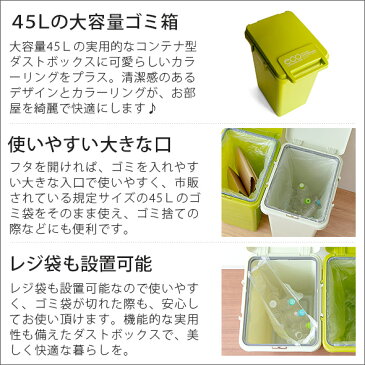 【最大1,000円OFFクーポン配布中】 ゴミ箱 ふた付き 分別 45l ごみ箱 ごみばこ キッチン 屋外 屋内 おしゃれ 分別ゴミ箱 ふた付き 北欧 かわいい 人気 ダストボックス 45L袋可 45リットル フタ付き 蓋付き 大型 インテリア雑貨 ECO container styleエココンテナスタイル）