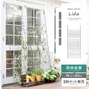 アイアン ガーデニング 目隠し 庭 シンプル スチール 柱 おしゃれ 屋外 ガーデン 植物 つる 薔薇 バラ つた アイアン製アイビーカーテン Lida〔リダ〕...