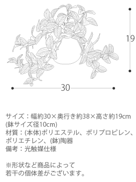 光触媒 観葉植物 フィットニア 網目草 人工観葉植物 造花 インテリア 人工 おしゃれ かわいい 人気 お手入れ不要 キッチン トイレ 消臭 抗菌 卓上観葉植物 光触媒人工植物 Fittonia 〔フィットニア〕