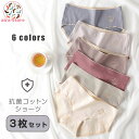 【3枚セット】抗菌コットン三角ショーツ 通気性抜群 レディース 下着 女性用 シンプル ショーツセット 快適パンツ 軽い オールシーズン 通気 薄手 無地 通気...