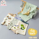 【4枚セット】男の子用ジュニアボクサーパンツ 恐竜柄 120-150cm対応 キッズ 子供 ボクサーブリーフ 男児 パンツ 下着 恐竜デザイン 子供用 4枚セッ...