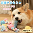 200円割引中 【6個セット】犬用 歯磨き おもちゃ しっかり噛む 磨牙おもちゃ 噛むおもちゃ ゴムガム 耐噛性 耐久性 ボール型 ペット 運動 防止家具破壊 ...