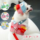 200円割引中 【3点セット】帽子 胸ベルト リード 春夏用 犬服 背中開き 犬猫用 ペット洋服 着脱簡単 かわいい 通気性 ドッグウェア ネコウェ 型犬 中型...