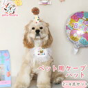 2-4点セット ペット用品 誕生日 ペット用ケープ 帽子 ハット ドッグハット 被り物 猫用 誕生日セット ペット服 人気 ぼうし 飾り付け メッシュ 可愛い ...