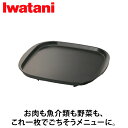 岩谷産業(Iwatani） 鉄板焼プレート ブラック CB-A-TPP カセットフー 専用 アクセサリー CB-A-TPP 鉄板焼 焼肉 焼き肉 焼きそば チーズダッカルビ ホットケーキ 海鮮 鉄板 フッ素加工 アウトドア キャンプ BBQ