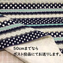 【キルティング生地】キルティング ベリーボーダー 水玉 ドット レース柄 紺×薄い青緑色 Q-250 女の子 入園入学 レッスンバック お布団入れ トートバック ボーダー キルト 生地 敷物 カバン かわいい キルティング生地 ファブリック 10cm単位 切り売り
