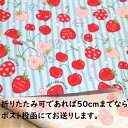 【ラミネート生地】ラミネート生地 ストライプ イチゴ いちご リンゴ りんご サクランボ 薄いスカイ 水色 R-280 女の子 入園入学 子供 ラミネート 生地 布 かわいい 可愛い シンプル ランチョンマット ビニールコーティング 防水 防水布 雨に強い 防水生地 水を弾く 切売り