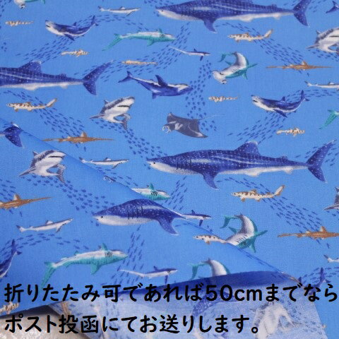 【ラミネート生地】ラミネート生地 海の生き物 魚 海の魚 海 生き物 サメ 明るい青色 R－285 つやなし 男の子 入園入学 子供 ラミネート 生地 かっこいい ランチョンマット ビニールコーティング 防水 防水布 雨に強い 防水生地 水を弾く ファブリック 10cm単位