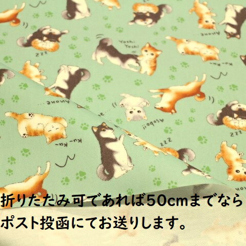 楽天田舎の布屋さん アイリー大野店【ラミネート生地】ラミネート生地 犬柄 犬 ネコ ねこ 犬と猫 肉球 明るい青緑色R－292 入園入学 ラミネート 生地 布 かわいい 可愛い ランチョンマット ビニールコーティング 防水 防水布 雨に強い 防水生地 水を弾く