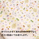 【ラミネート生地】ラミネート生地 うさぎ どんぐり くり ベリー きのこ 松ぼっくり 木の実 生成色 R-305 入園入学 ラミネート 生地 布 かわいい 可愛い ランチョンマット ビニールコーティング 防水 防水布 雨に強い 防水生地 水を弾く