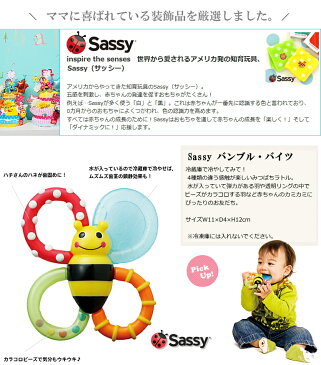 【おむつケーキ】 Sassy サッシー あす楽 売れ筋 セレブ ぬいぐるみ　出産祝い 男の子 女の子　あす楽　送料無料　 lucky5 0601楽天カード分割 クリスマス　ベビーギフト　お誕生日　赤ちゃん　パンパース　02P03Dec16