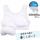 ハーフトップ ジュニア インナー ソフトカップ 挿入カップ付き 女の子 綿100% 無地 3枚組 140cm 150cm 160cm 下着 肌着 キッズ 女子 ...