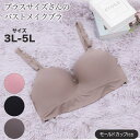 大きいサイズ ノンワイヤー ブラジャー ブラ レディース プラスサイズ アンダーゴムなし 3L 4L 5L ノンワイヤーブラジャー 大きい サイズ(ブラ シームレス