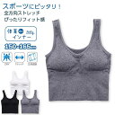ハーフトップ キッズ 下着 カップ付き タンクトップ 女の子 ストレッチ 速乾 クロップド丈 体育deインナーPLUS ジュニアブラ 女子 インナー 子ども用(...