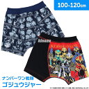 ナンバーワン戦隊ゴジュウジャー ボクサーパンツ B柄 男児 キッズ 綿混 2枚組 100cm-120cm アソート 3歳 4歳 5歳 6歳 7歳