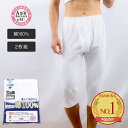 【期間限定30%OFF】肌着 メンズ 半ズボン下 前開き ひざ下丈 インナー 綿100% プラチナ加工 2枚組下着 男性 ステテコ 紳士(無地 白 M L LL 抗菌 防臭 ボトム ももひき 綿 男