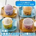 北海道アイスクリーム4種 8個産直品 代引き不可沖縄・離島への配送不可
