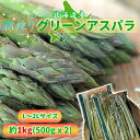 【産直品】北海道産グリーンアスパラ1kg L-2Lサイズ(送料込)6月出荷分まで代引き不可沖縄・離島への配送不可