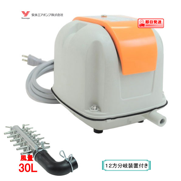 安永 エアーポンプ AP-30（12方分岐装置付き） 安永エアポンプ 浄化槽 ブロワー 【水槽】 AP-30