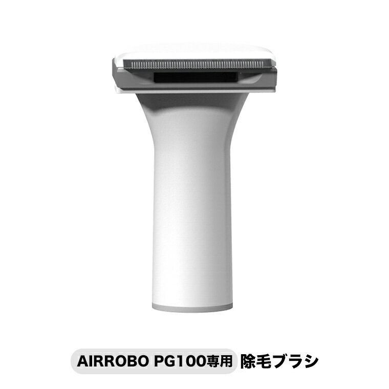 AIRROBO PG100p уuV ybgpO[~O|@ i