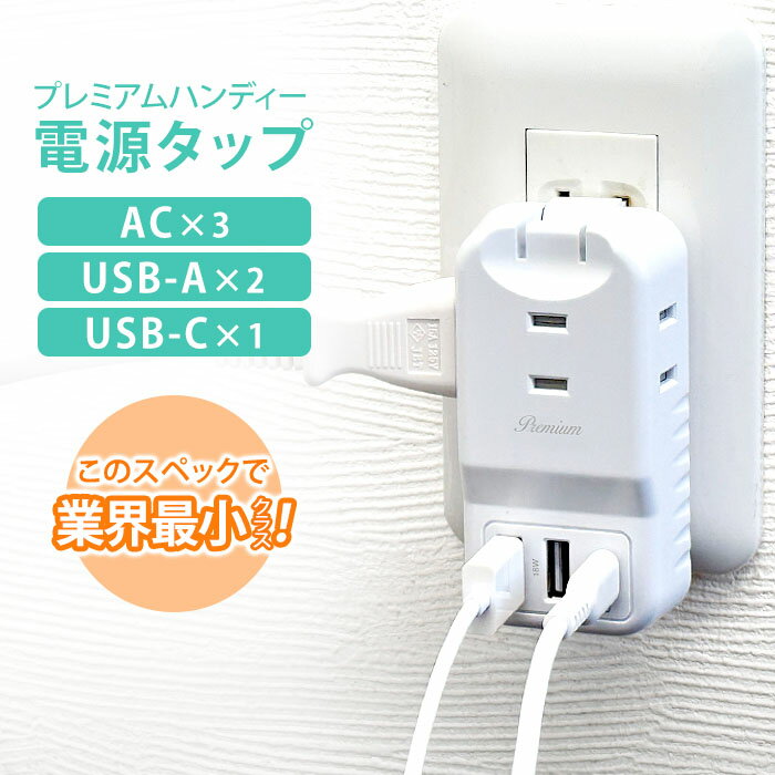 Ÿå usb type-c AC 󥻥 å C typec ACץ ѥ ߥ  USB-A USB-...
