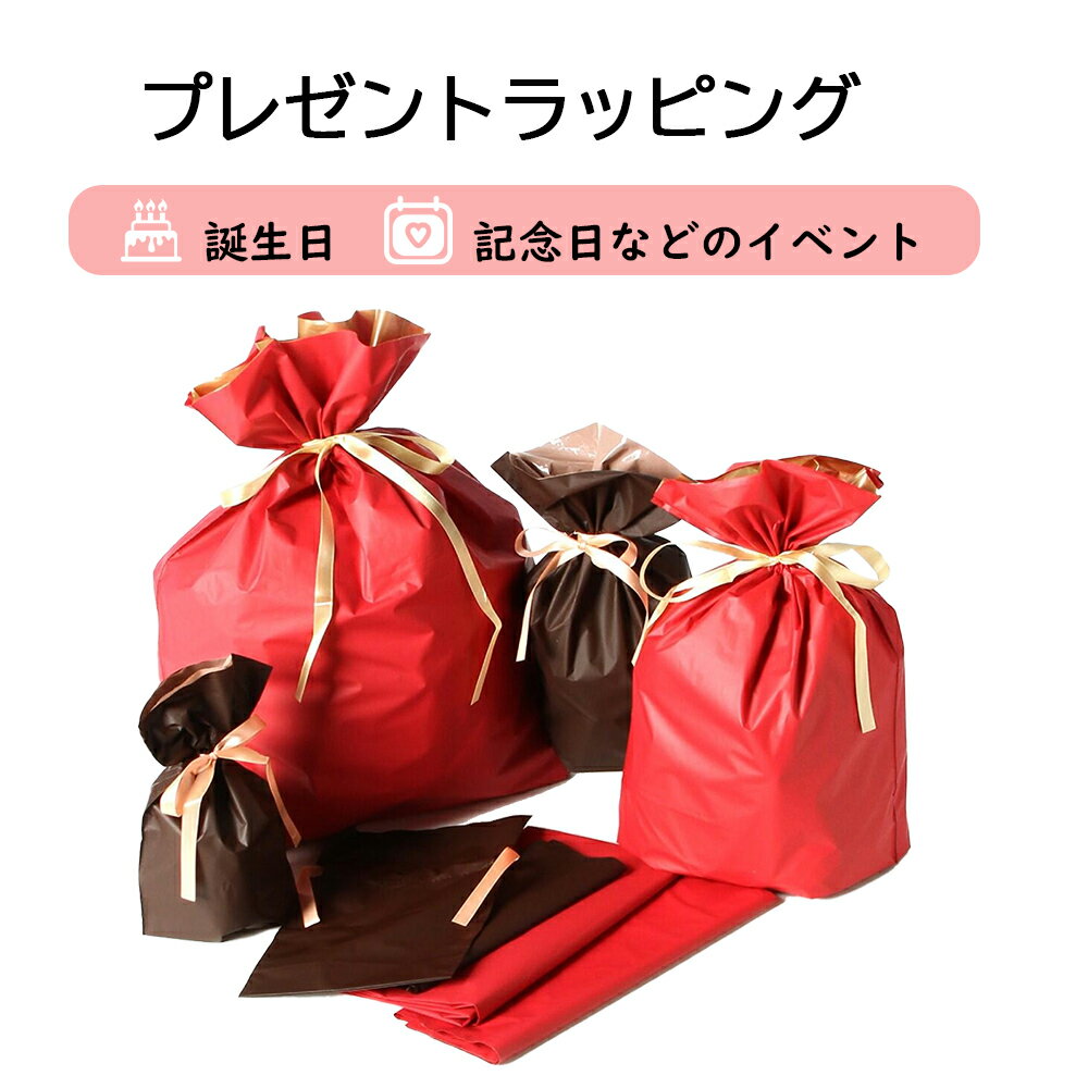【単独購入不可】ギフトラッピング プレゼント 贈り物 ラッピング 包装 袋 ギフトバッグ ラッピング リボン 誕生日 クリスマス 母の日 入学 卒業 お祝い 記...