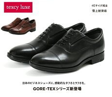 GORE-TEX ゴアテックス 牛革 asics アシックス商事 texcy luxe/テクシーリュクス TU8010 ビジネスシューズ 紳士靴 4E相当 防水 雪上耐滑底