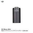 DJI Mavic Mini@No01 CeWFg tCgobe[ (1100 mAh)