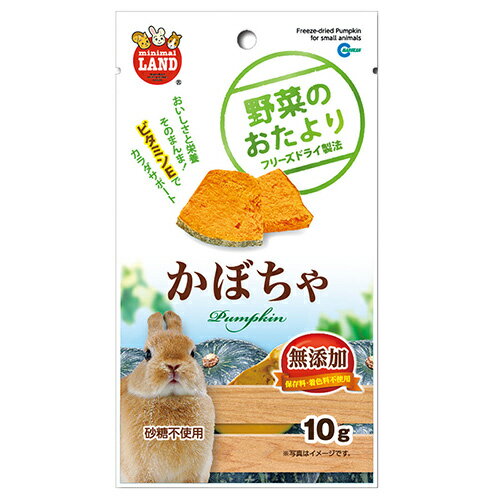 マルカン 野菜のおたより かぼちゃ 1袋(賞味期限2025.03以降) うさぎ モルモット チンチラ デグー ハムスター リス おやつ marukan 1