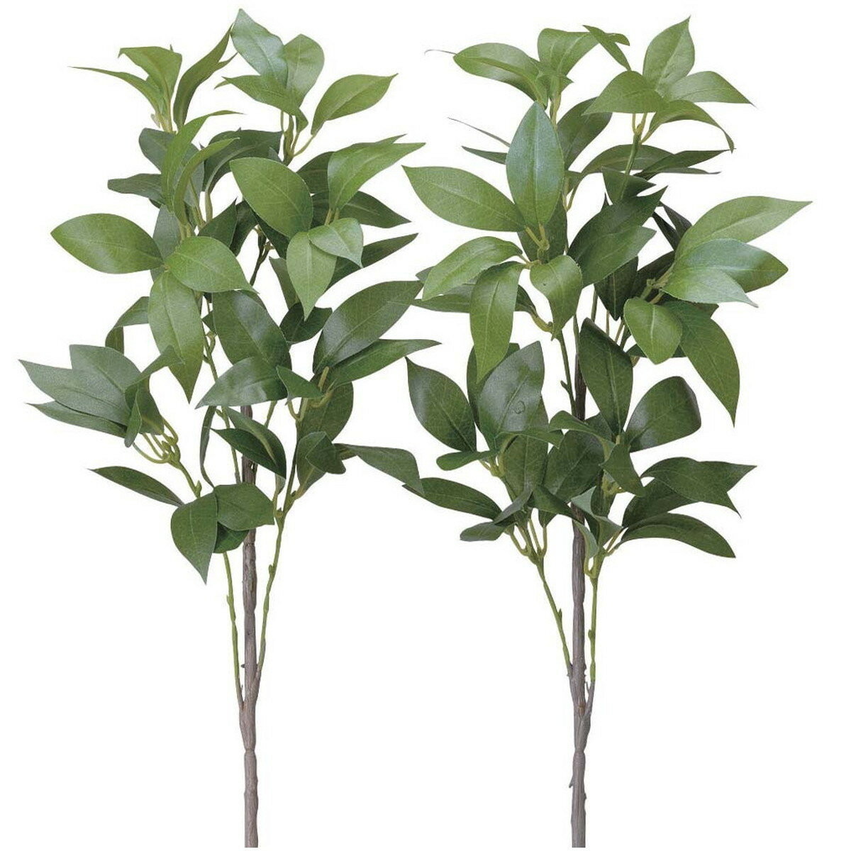 シキミ(香花)2本セット 100K40 W20×D20×H65cm【2024年版 人工観葉植物 光の楽園 造花 フェイク リビング 玄関 アートフラワー インテリアグリーン】