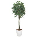 パキラ 2.0 140K730 W80×D80×H200cm【2024年版 人工観葉植物 光の楽園 造花 フェイク リビング 玄関 アートフラワー インテリアグ...