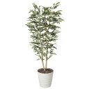トネリコ1.8 146K480 W65×D60×H180cm【2024年版 人工観葉植物 光の楽園 造花 フェイク リビング 玄関 アートフラワー インテリアグ...
