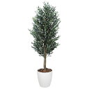 オリーブ 1.8 149K850 W70×D70×H180cm【2024年版 人工観葉植物 光の楽園 造花 フェイク リビング 玄関 アートフラワー インテリア...