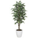 ロイヤルベンジャミン 1.6 150K550 W65×D65×H160cm【2024年版 人工観葉植物 光の楽園 造花 フェイク リビング 玄関 アートフラワー...