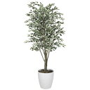 ベンジャミンツリー斑入り 1.6 153K430 W65×D65×H160cm【2024年版 人工観葉植物 光の楽園 造花 フェイク リビング 玄関 アートフラ...