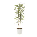 ゴールデンリーフ 1.8 155B400 W55×D55×H180cm【2024年版 人工観葉植物 光の楽園 造花 フェイク リビング 玄関 アートフラワー イ...