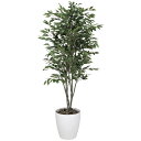 ベンジャミンツリー 1.6 156K430 W65×D65×H160cm【2024年版 人工観葉植物 光の楽園 造花 フェイク リビング 玄関 アートフラワー ...