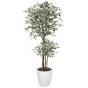 トロピカルベンジャミン斑入り 1.8 167K600 W80×D80×H180cm【2024年版 人工観葉植物 光の楽園 造花 フェイク リビング 玄関 アート...