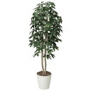 パキラツリー 1.6 170K310 W65×D65×H160cm【2024年版 人工観葉植物 光の楽園 造花 フェイク リビング 玄関 アートフラワー インテ...