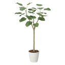 ウンベラータ 1.8 172K370 W75×D65×H180cm【2024年版 人工観葉植物 光の楽園 造花 フェイク リビング 玄関 アートフラワー インテ...