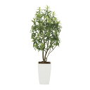フレッシュドラセナW1.8 2007K880 W80×D75×H180cm【2024年版 人工観葉植物 光の楽園 造花 フェイク リビング 玄関 アートフラワー...