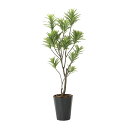 フレッシュドラセナ1.8 2016A380 W67×D50×H180cm【2024年版 人工観葉植物 光の楽園 造花 フェイク リビング 玄関 アートフラワー ...