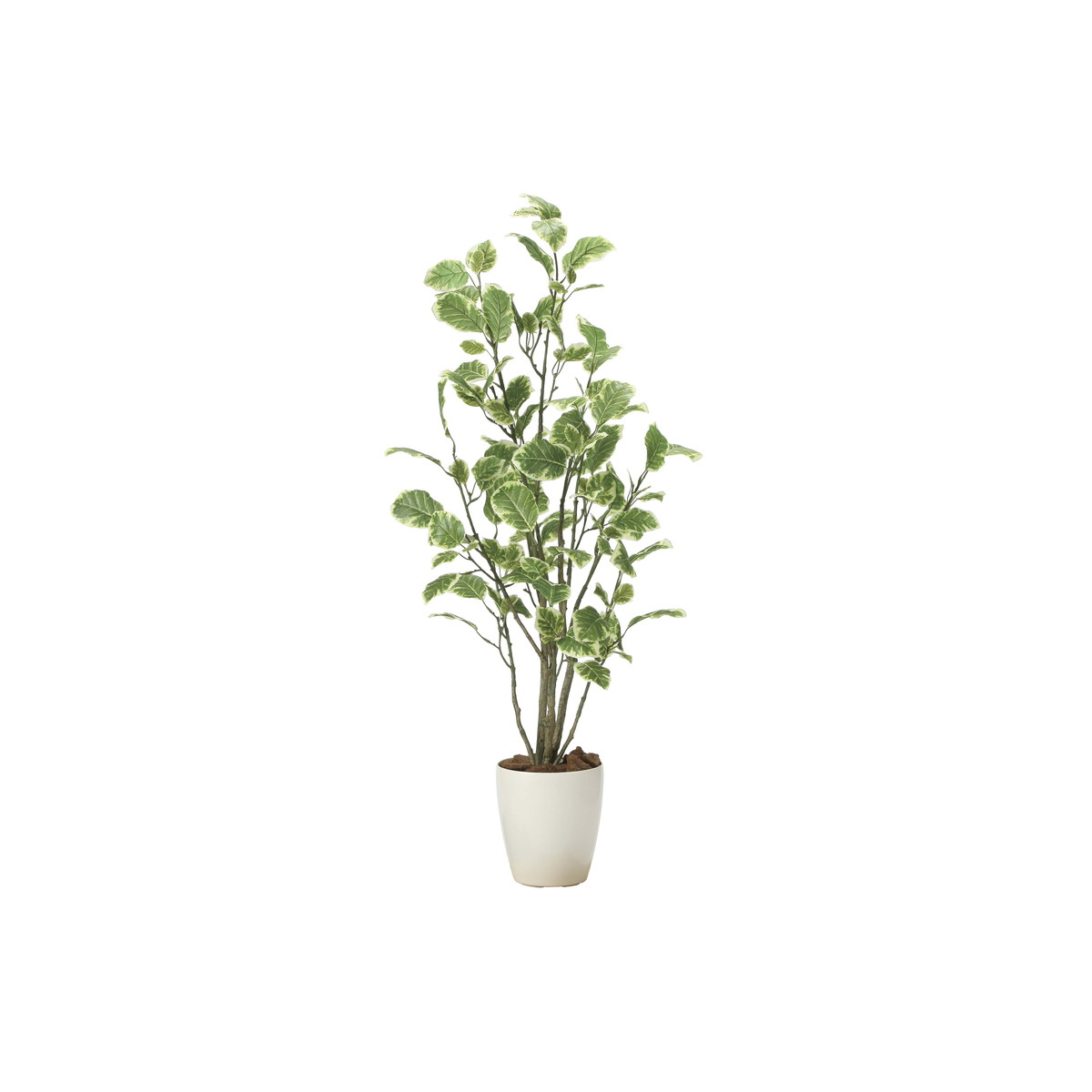 ポリシャス1.15 2028A180 W50×D45×H115cm【2024年版 人工観葉植物 光の楽園 造花 フェイク リビング 玄関 アートフラワー インテリアグリーン】